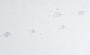 GOTAS.jpg